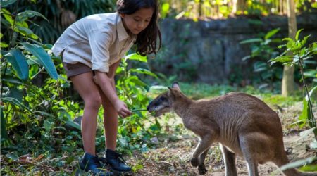 Bali Zoo Tour Balizoo3