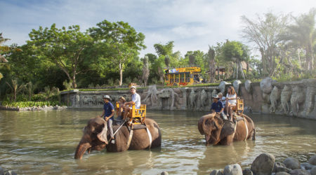 Bali Zoo Tour Balizoo5