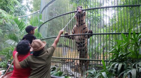 Bali Zoo Tour Balizoo6